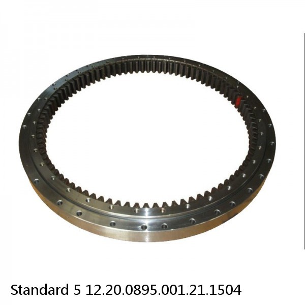 12.20.0895.001.21.1504 Standard 5 Slewing Ring Bearings