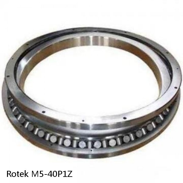 M5-40P1Z Rotek Slewing Ring Bearings