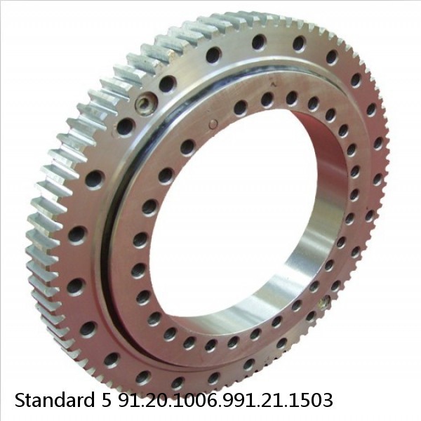 91.20.1006.991.21.1503 Standard 5 Slewing Ring Bearings