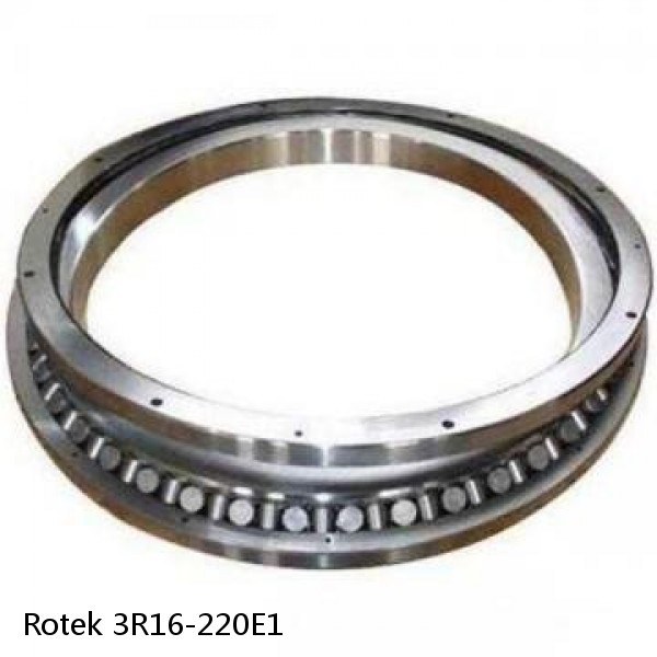 3R16-220E1 Rotek Slewing Ring Bearings