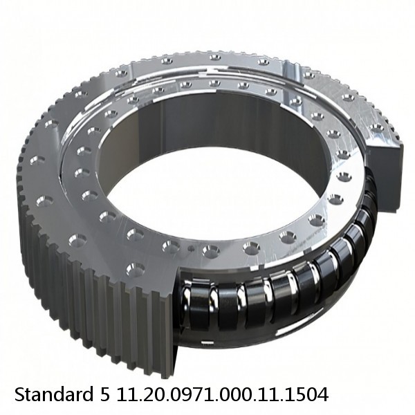 11.20.0971.000.11.1504 Standard 5 Slewing Ring Bearings