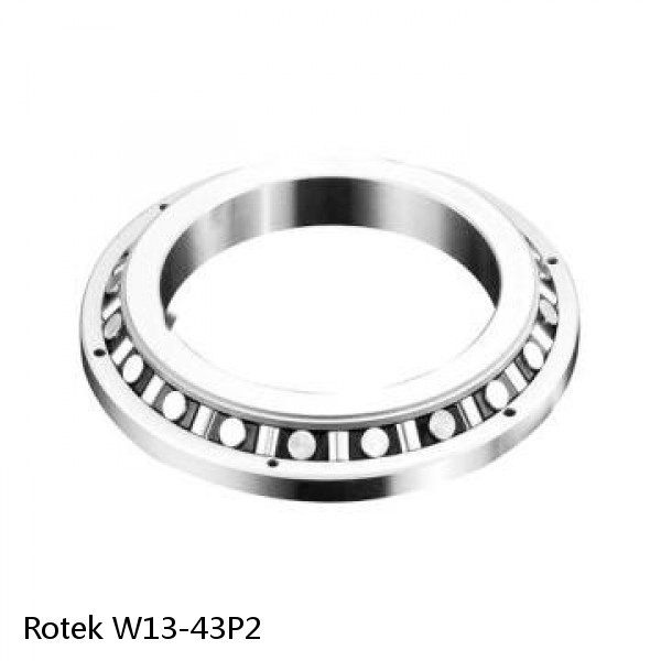 W13-43P2 Rotek Slewing Ring Bearings