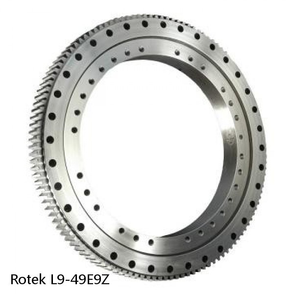 L9-49E9Z Rotek Slewing Ring Bearings