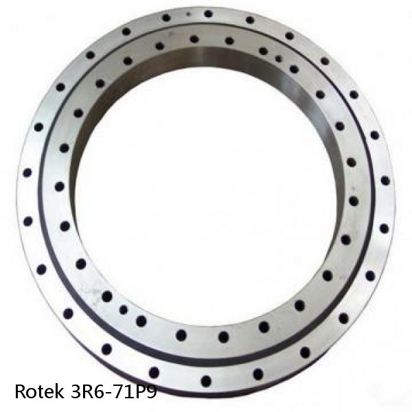 3R6-71P9 Rotek Slewing Ring Bearings