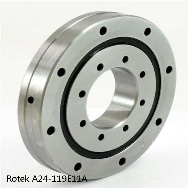 A24-119E11A Rotek Slewing Ring Bearings