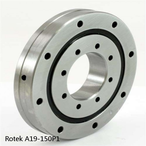 A19-150P1 Rotek Slewing Ring Bearings