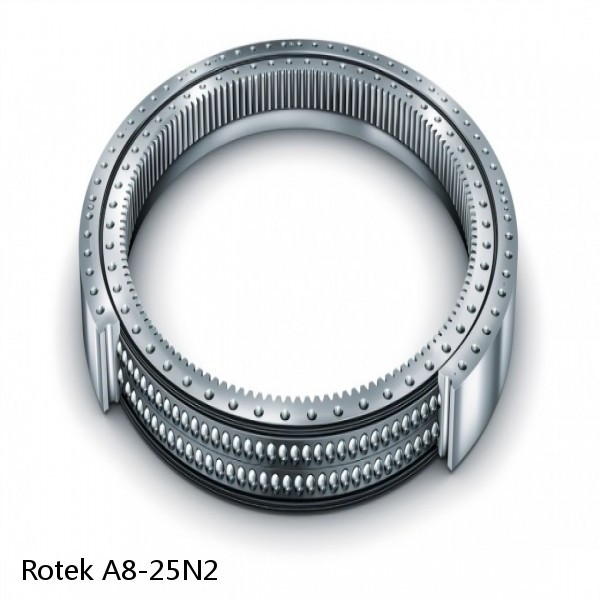 A8-25N2 Rotek Slewing Ring Bearings