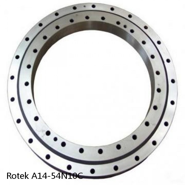 A14-54N10C Rotek Slewing Ring Bearings