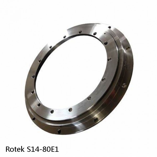 S14-80E1 Rotek Slewing Ring Bearings