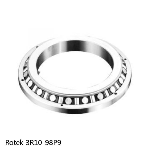 3R10-98P9 Rotek Slewing Ring Bearings