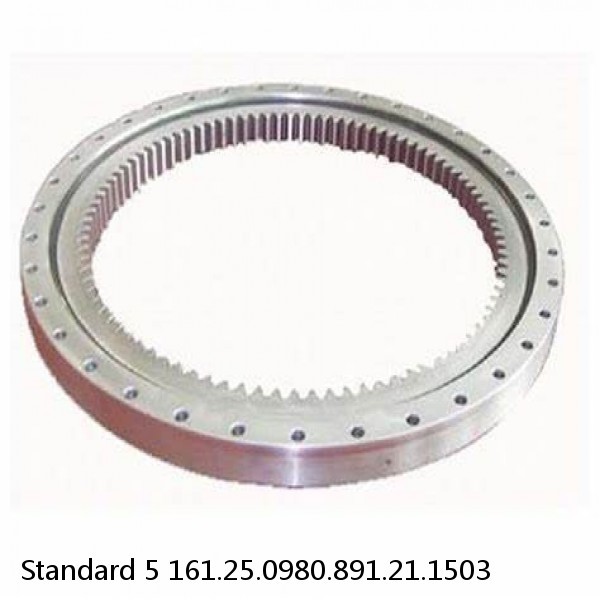 161.25.0980.891.21.1503 Standard 5 Slewing Ring Bearings