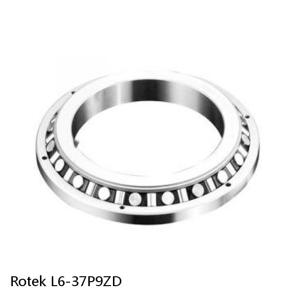 L6-37P9ZD Rotek Slewing Ring Bearings