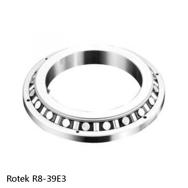 R8-39E3 Rotek Slewing Ring Bearings