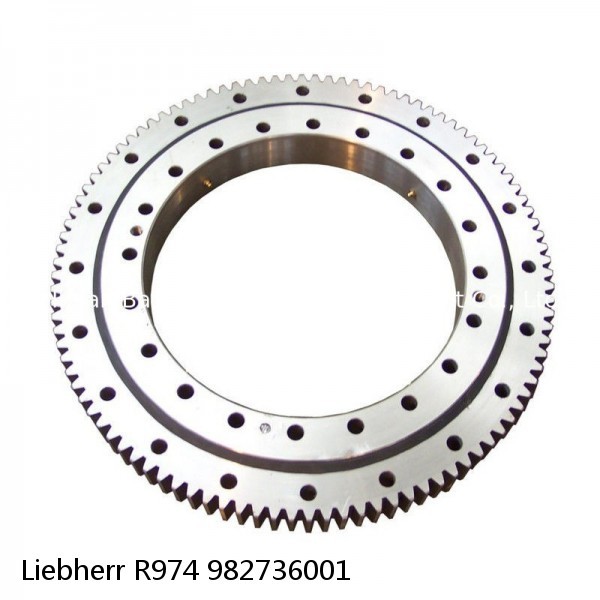 982736001 Liebherr R974 Slewing Ring