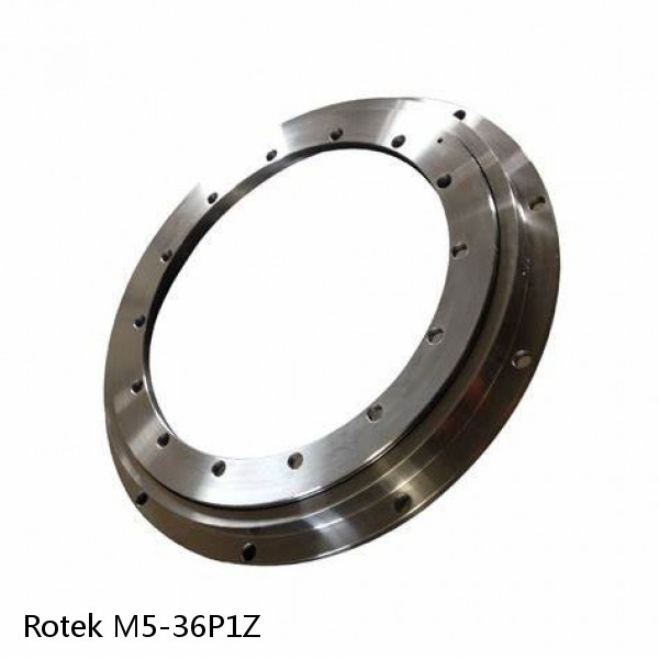 M5-36P1Z Rotek Slewing Ring Bearings