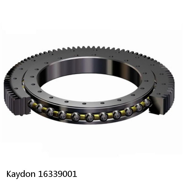 16339001 Kaydon Slewing Ring Bearings