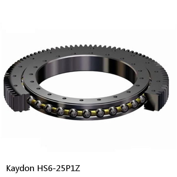 HS6-25P1Z Kaydon Slewing Ring Bearings