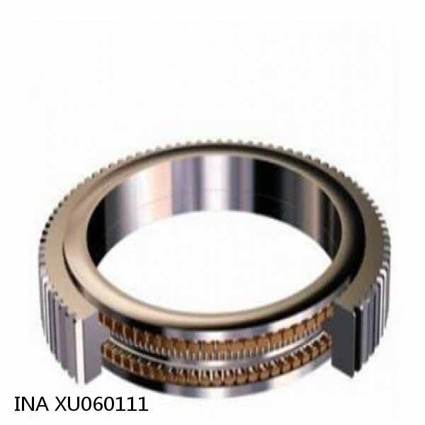 XU060111 INA Slewing Ring Bearings