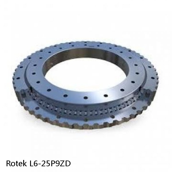 L6-25P9ZD Rotek Slewing Ring Bearings