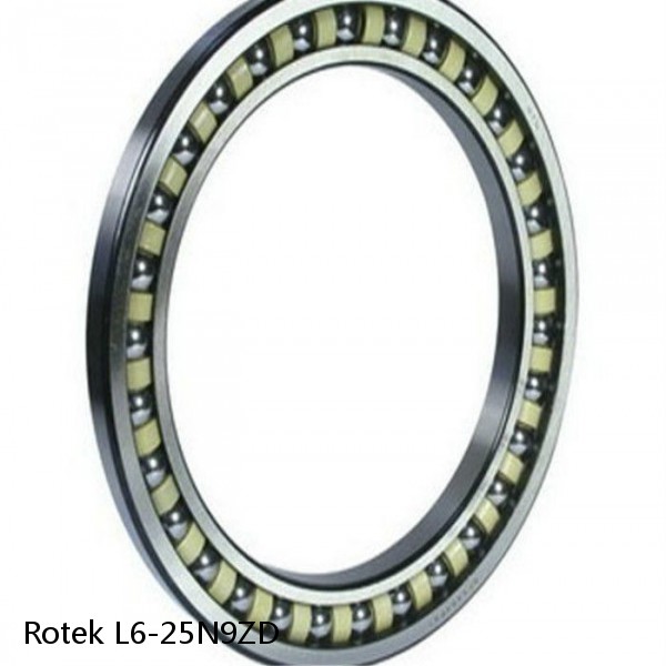 L6-25N9ZD Rotek Slewing Ring Bearings