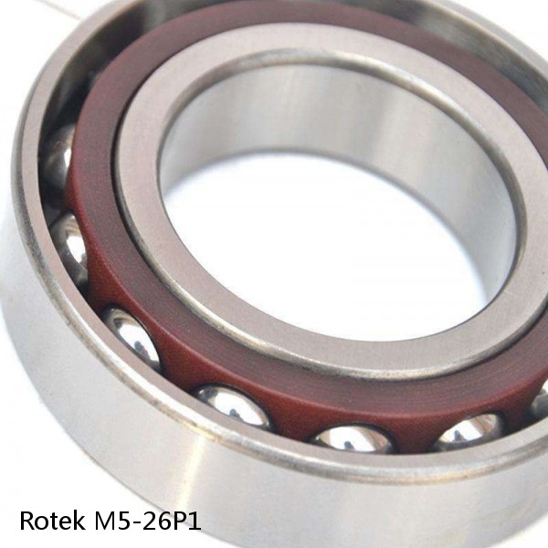 M5-26P1 Rotek Slewing Ring Bearings