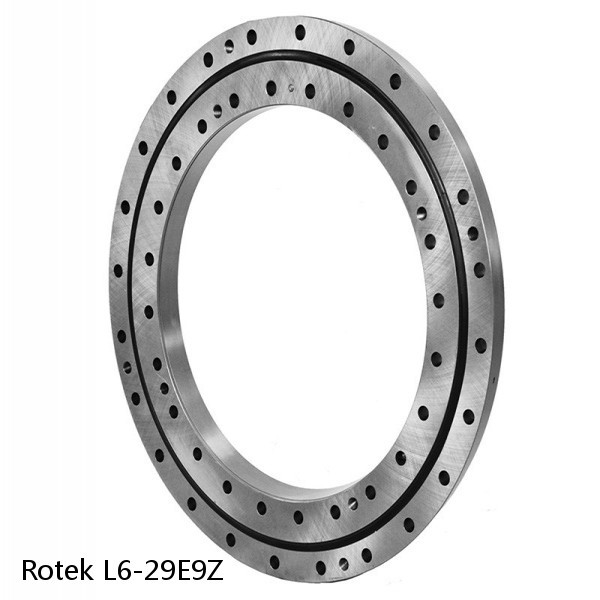 L6-29E9Z Rotek Slewing Ring Bearings