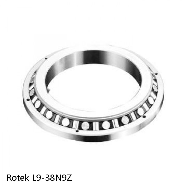 L9-38N9Z Rotek Slewing Ring Bearings