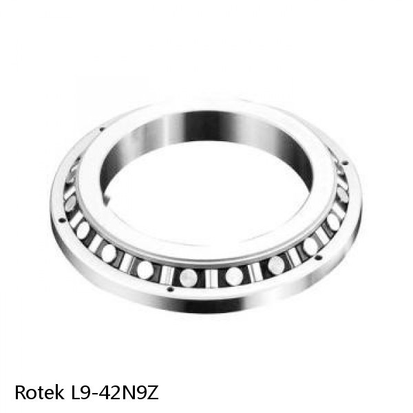 L9-42N9Z Rotek Slewing Ring Bearings