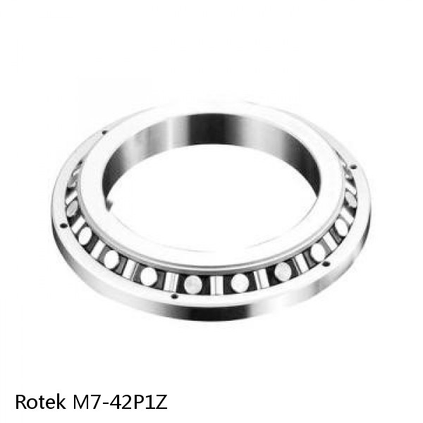 M7-42P1Z Rotek Slewing Ring Bearings