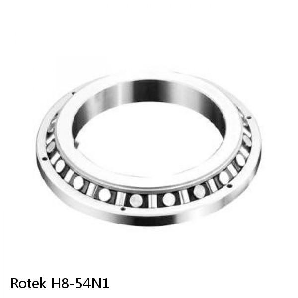 H8-54N1 Rotek Slewing Ring Bearings