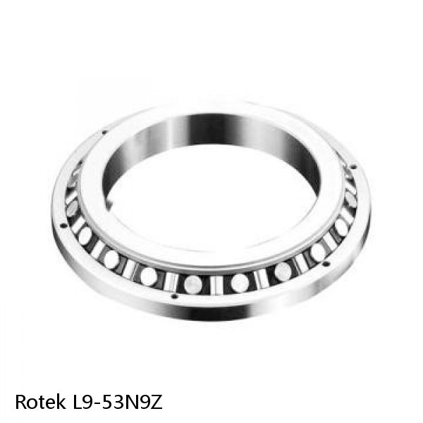 L9-53N9Z Rotek Slewing Ring Bearings