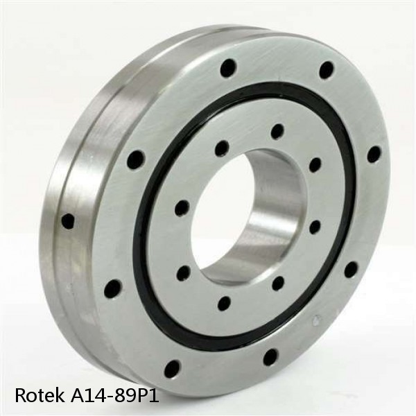 A14-89P1 Rotek Slewing Ring Bearings