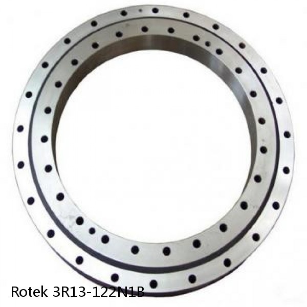 3R13-122N1B Rotek Slewing Ring Bearings