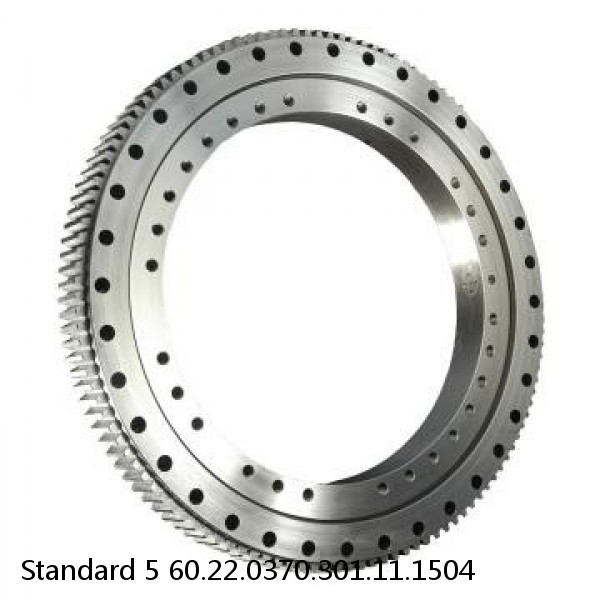 60.22.0370.301.11.1504 Standard 5 Slewing Ring Bearings