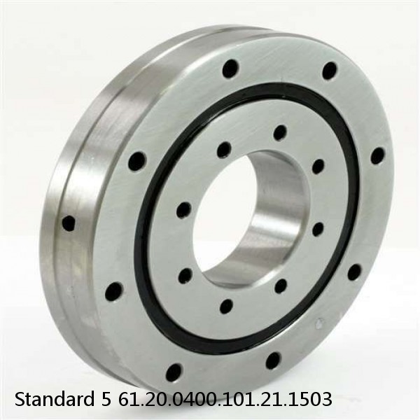 61.20.0400.101.21.1503 Standard 5 Slewing Ring Bearings