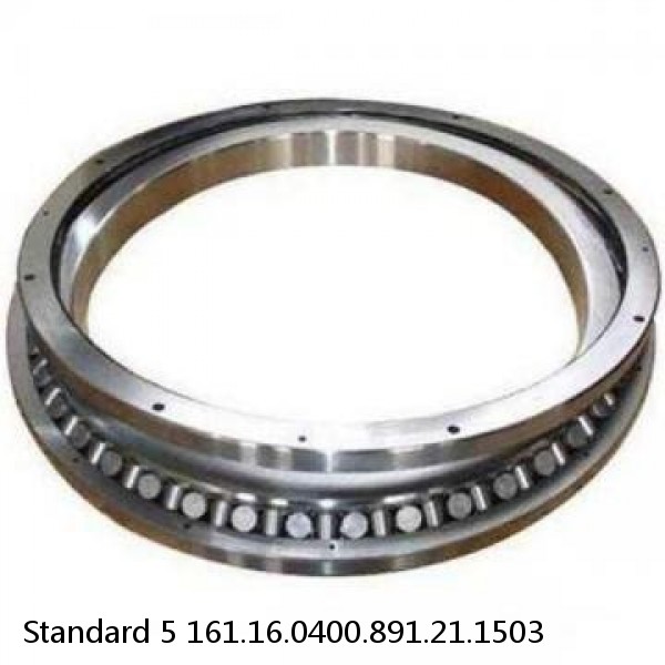 161.16.0400.891.21.1503 Standard 5 Slewing Ring Bearings