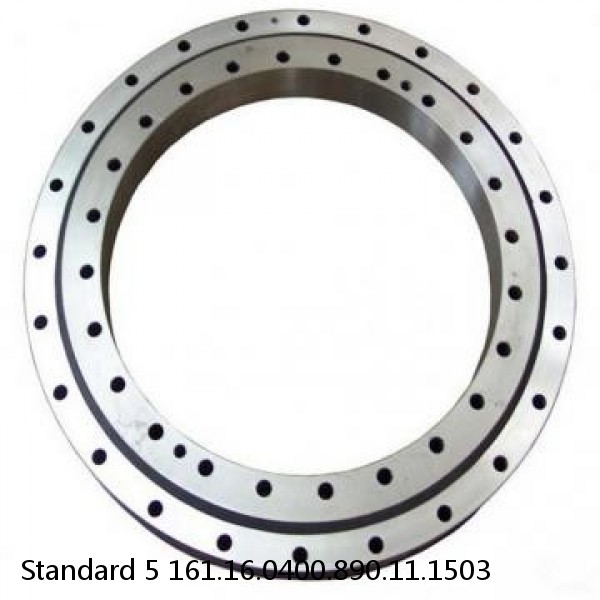 161.16.0400.890.11.1503 Standard 5 Slewing Ring Bearings