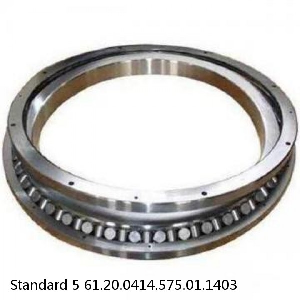 61.20.0414.575.01.1403 Standard 5 Slewing Ring Bearings