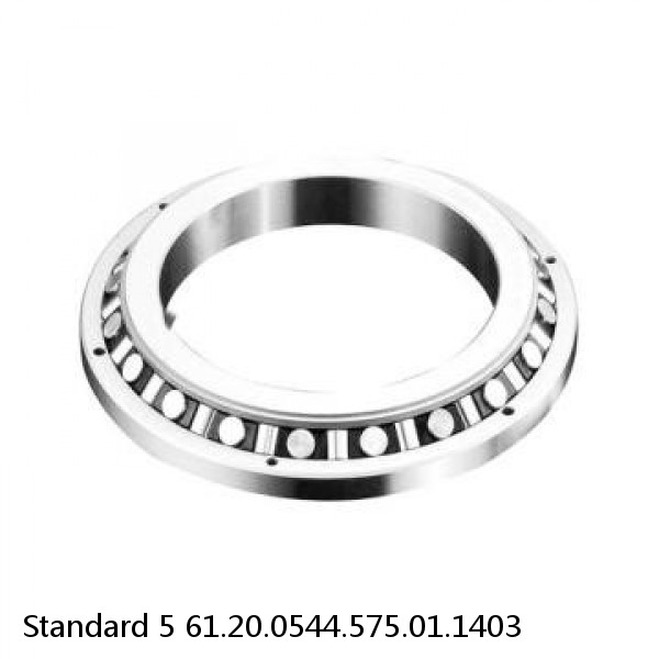 61.20.0544.575.01.1403 Standard 5 Slewing Ring Bearings