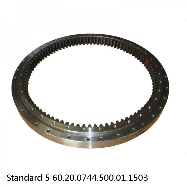 60.20.0744.500.01.1503 Standard 5 Slewing Ring Bearings