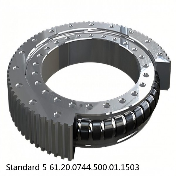 61.20.0744.500.01.1503 Standard 5 Slewing Ring Bearings