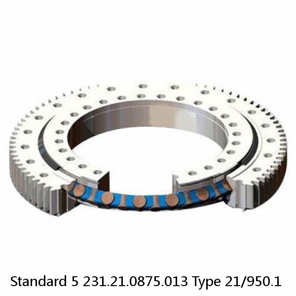 231.21.0875.013 Type 21/950.1 Standard 5 Slewing Ring Bearings