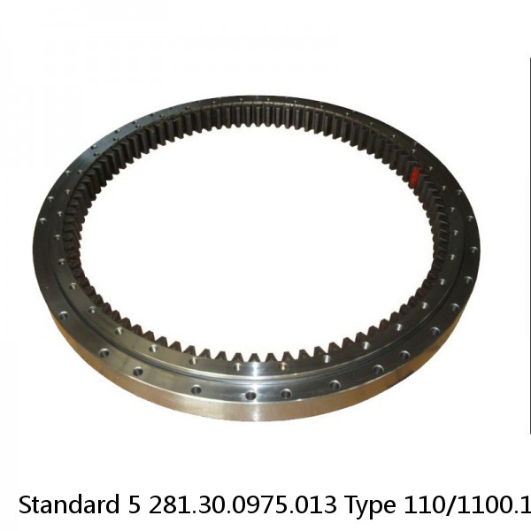 281.30.0975.013 Type 110/1100.1 Standard 5 Slewing Ring Bearings