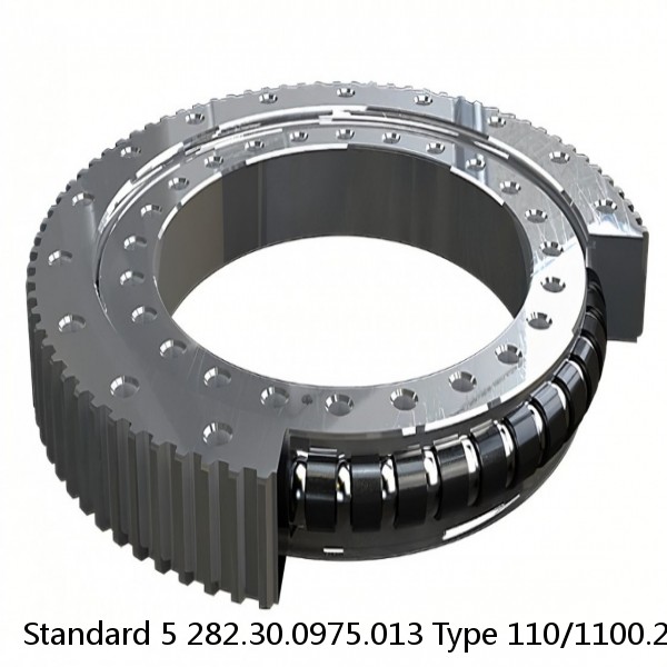 282.30.0975.013 Type 110/1100.2 Standard 5 Slewing Ring Bearings