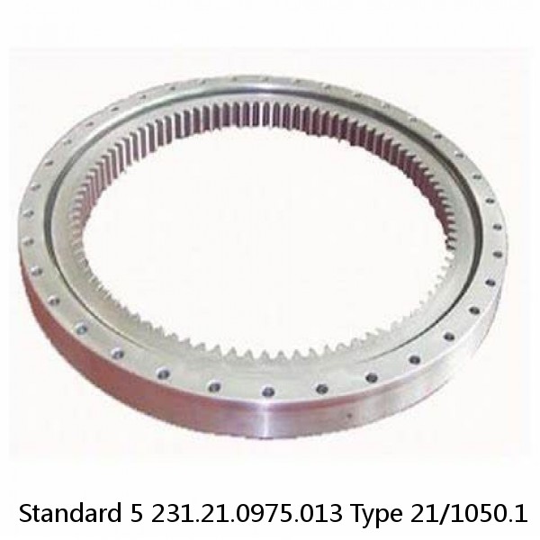 231.21.0975.013 Type 21/1050.1 Standard 5 Slewing Ring Bearings