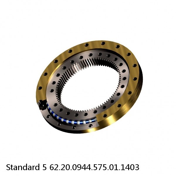 62.20.0944.575.01.1403 Standard 5 Slewing Ring Bearings