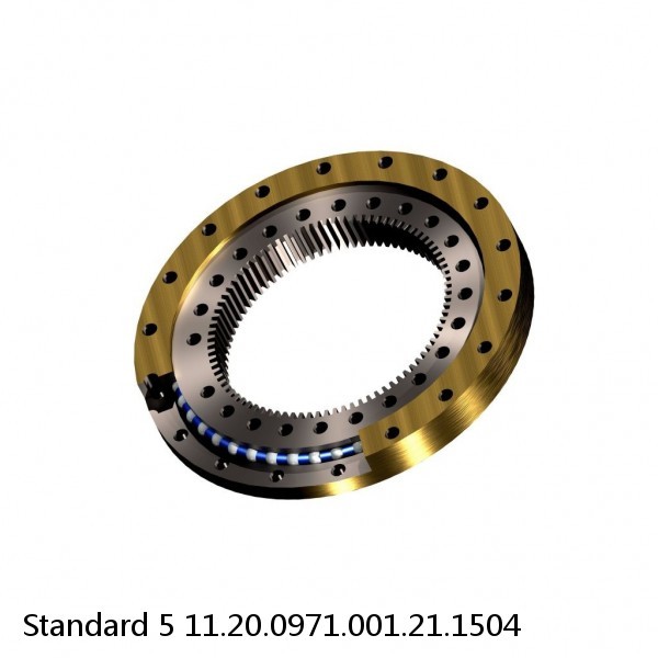 11.20.0971.001.21.1504 Standard 5 Slewing Ring Bearings