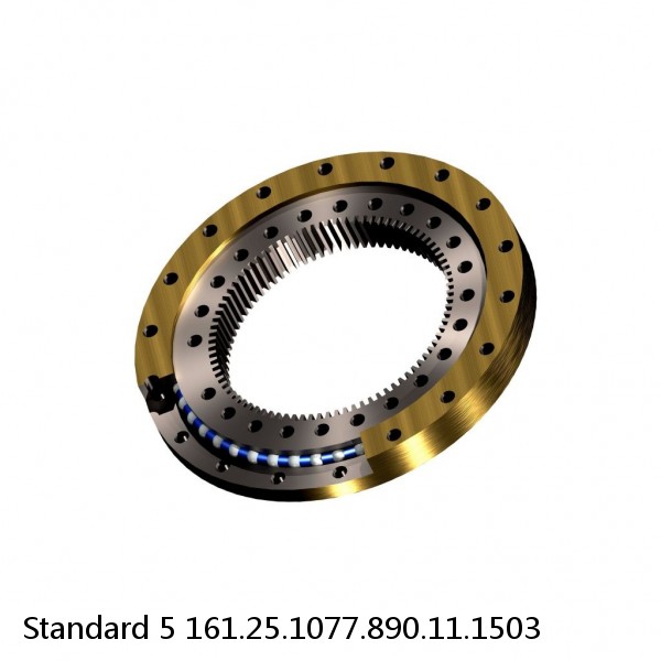 161.25.1077.890.11.1503 Standard 5 Slewing Ring Bearings