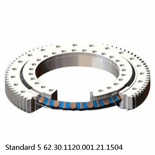 62.30.1120.001.21.1504 Standard 5 Slewing Ring Bearings