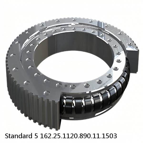 162.25.1120.890.11.1503 Standard 5 Slewing Ring Bearings